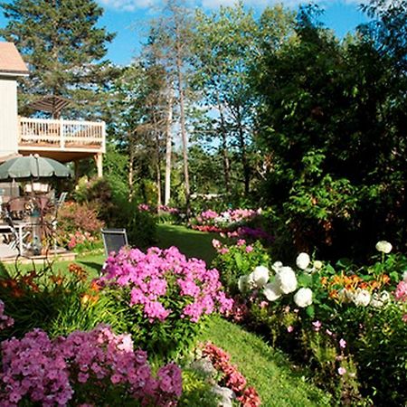Gite Au Pied Du Courant De Gilbert Desjardins Mont-Laurier Exterior foto